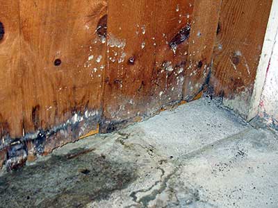 Water Damage Wall Sonoma County