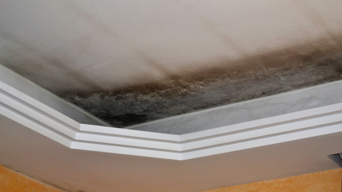 Ways to Immediately Limit Water Damage Before Professionals Arrive