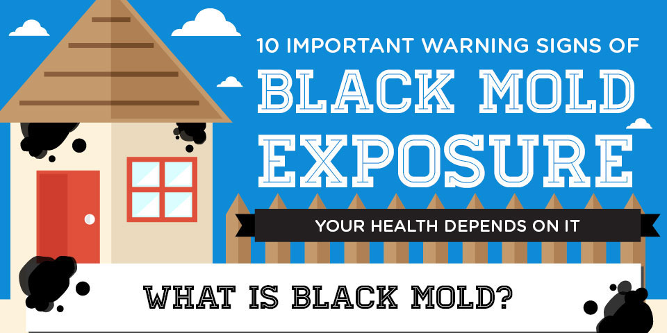 Black Mold Exposure: Symptoms, Risks & Treatment